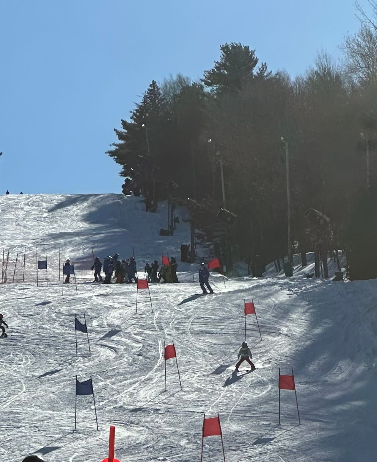 DEV TEAM Show Off Their Skills